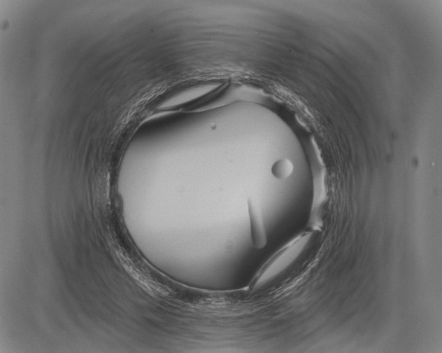 X0000083610589200703051545