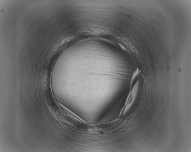 X0000083610591200703051545