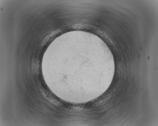 X0000083610592200703051545