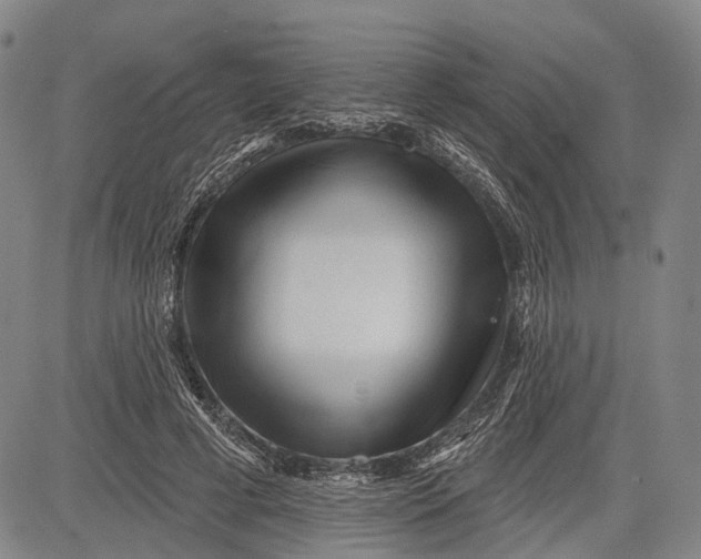 X0000083610593200703051545