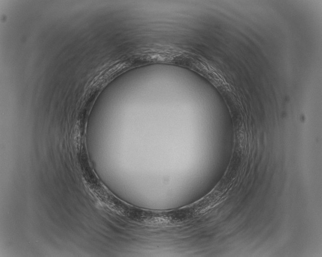 X0000083610594200703051545