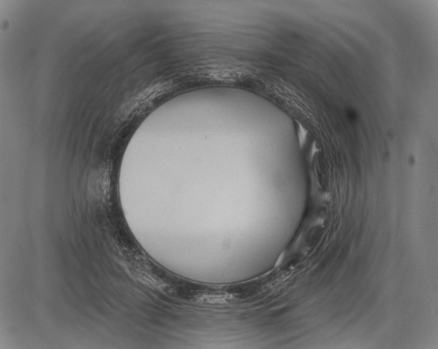 X0000083610595200703051545