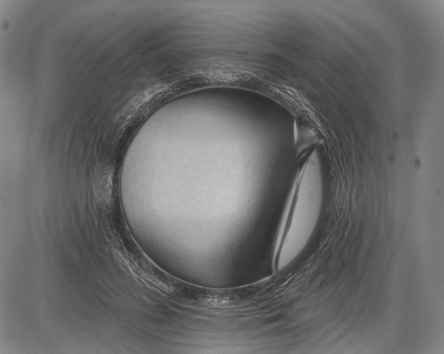 X0000083610596200703051545