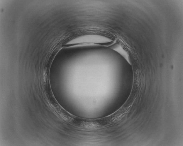 X0000083610597200703051545