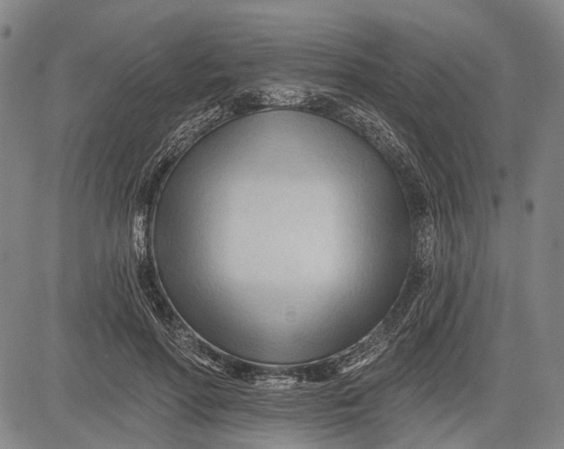 X0000083610598200703051545