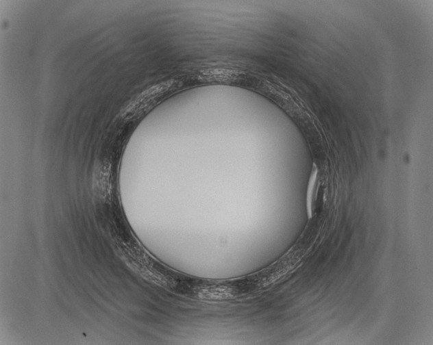 X0000083610599200703051545