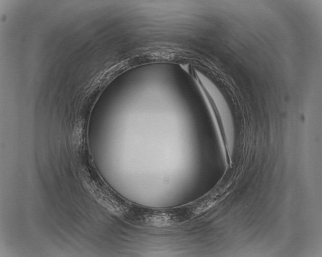 X0000083610600200703051545