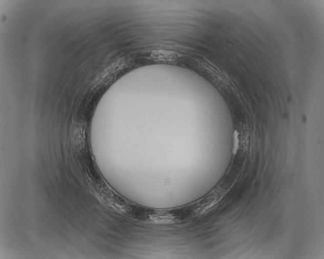 X0000083610603200703051545