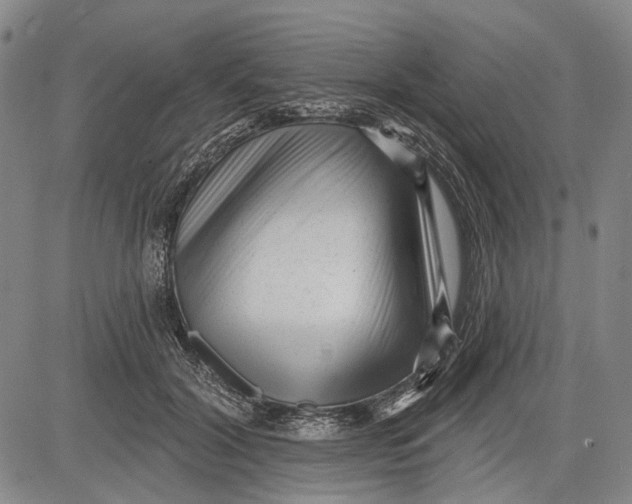 X0000083610604200703051545