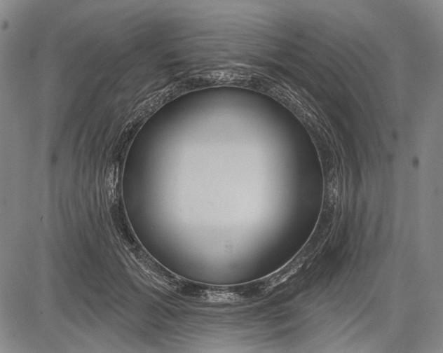 X0000083610605200703051545