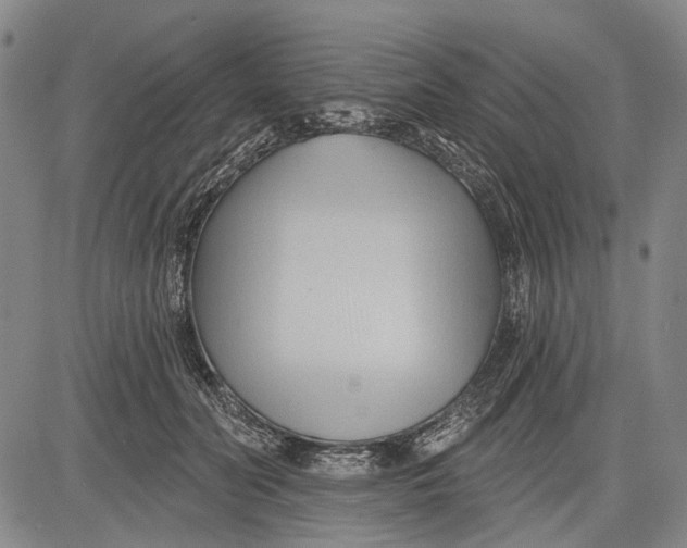 X0000083610606200703051545