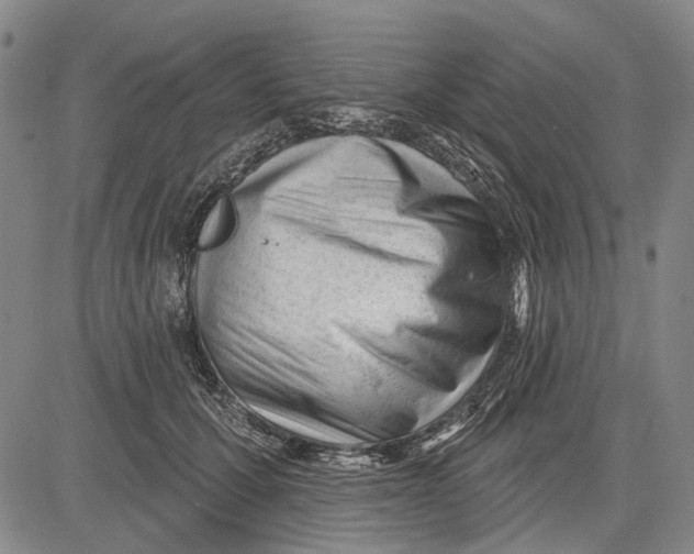 X0000083610607200703051545