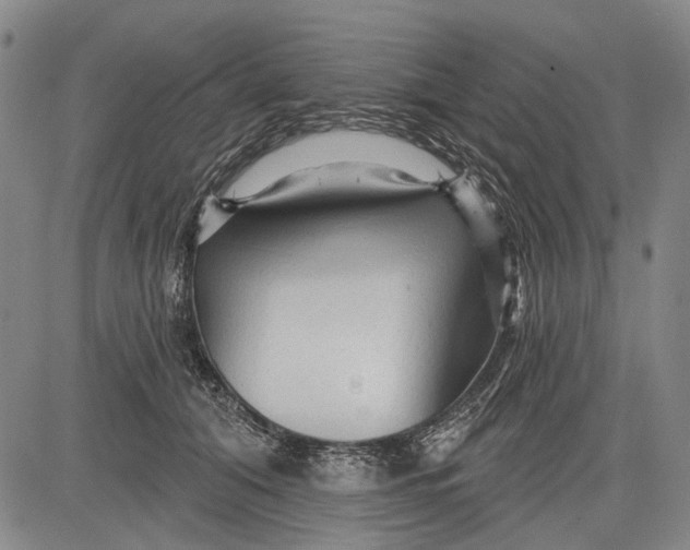 X0000083610608200703051545