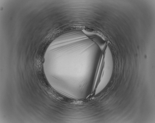 X0000083610609200703051545