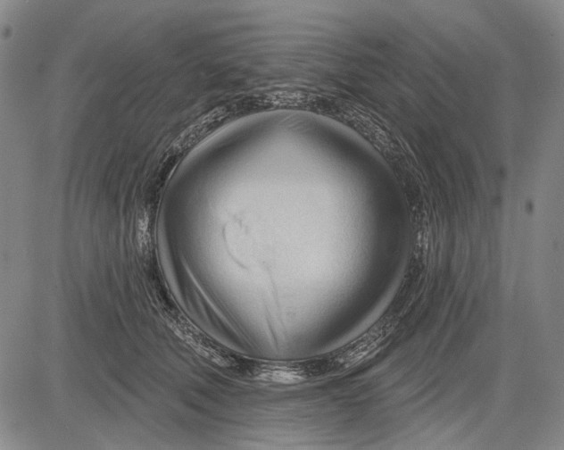 X0000083610610200703051545