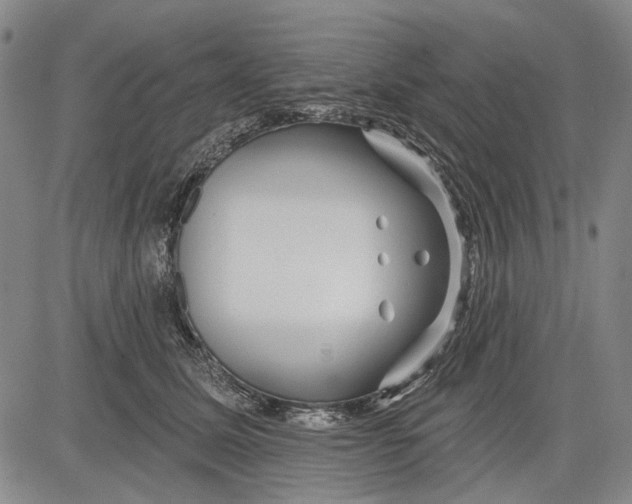 X0000083610611200703051545