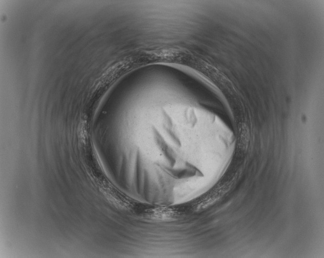 X0000083610612200703051545