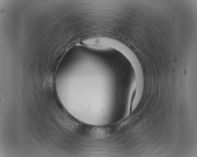 X0000083610613200703051545