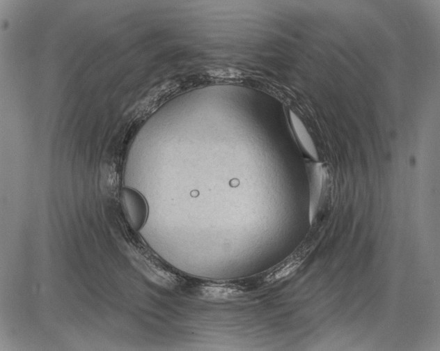 X0000083610614200703051545