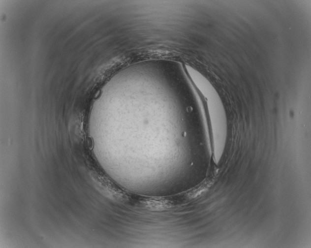 X0000083610615200703051545