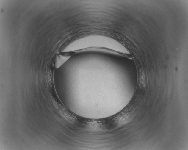 X0000083610616200703051545