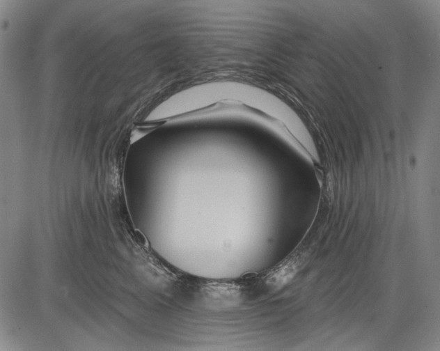 X0000083610617200703051545