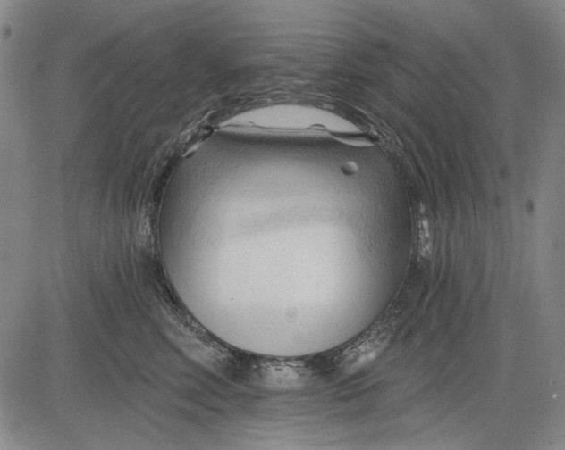 X0000083610618200703051545