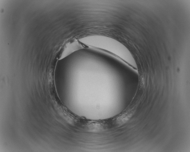 X0000083610620200703051545