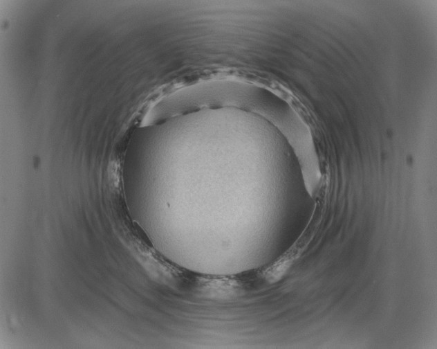 X0000083610621200703051545