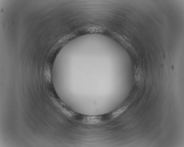 X0000083610622200703051545