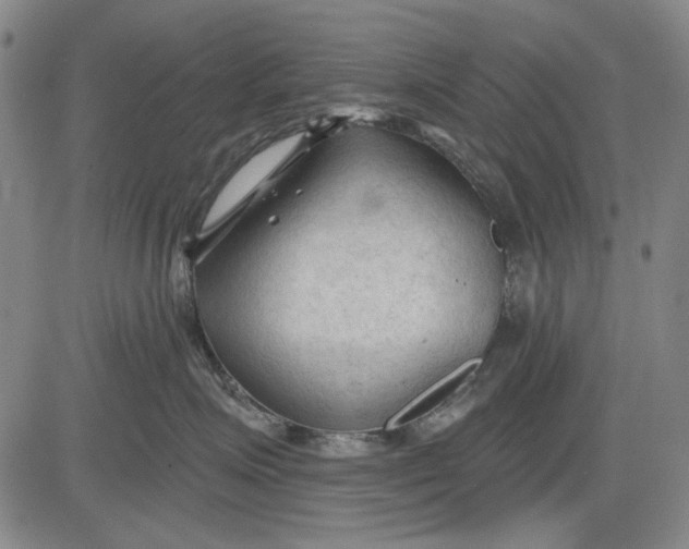 X0000083610623200703051545