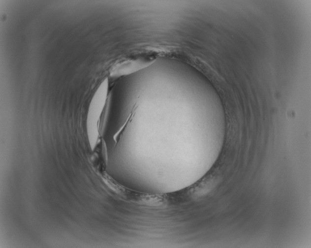 X0000083610624200703051545