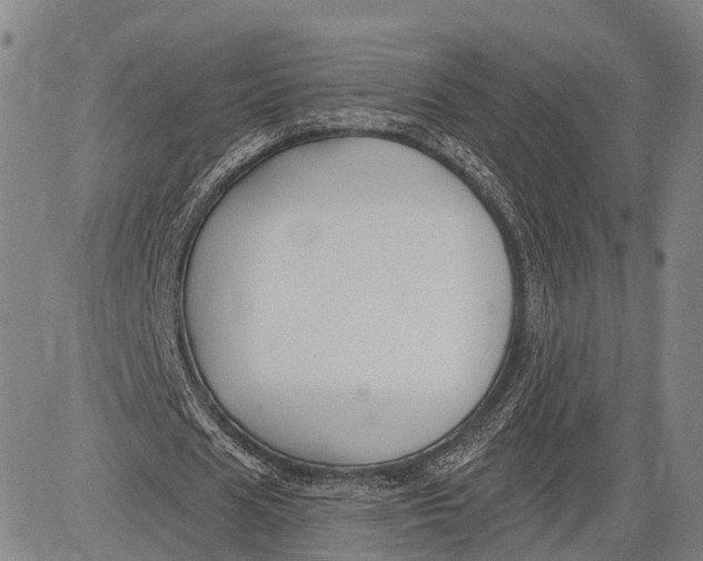 X0000083610625200703051544