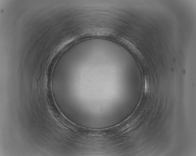 X0000083610627200703051544