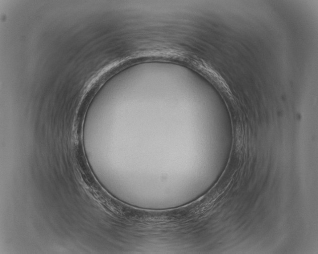 X0000083610628200703051544