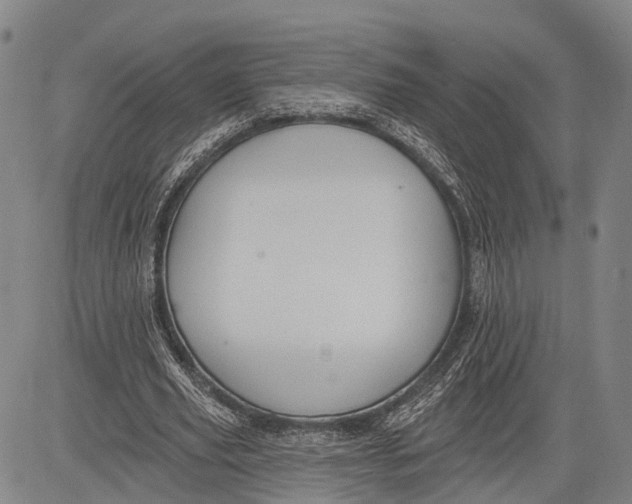 X0000083610629200703051544