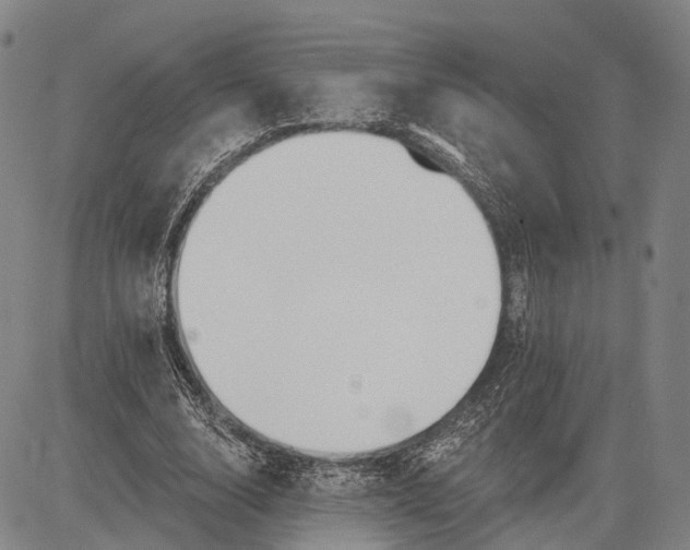 X0000083610632200703051544