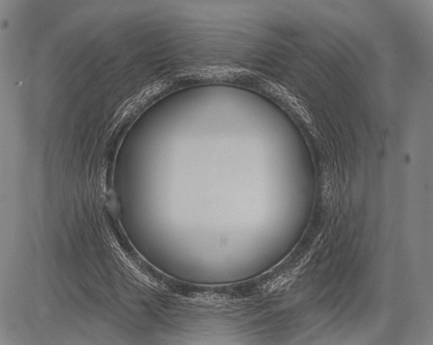 X0000083610633200703051544