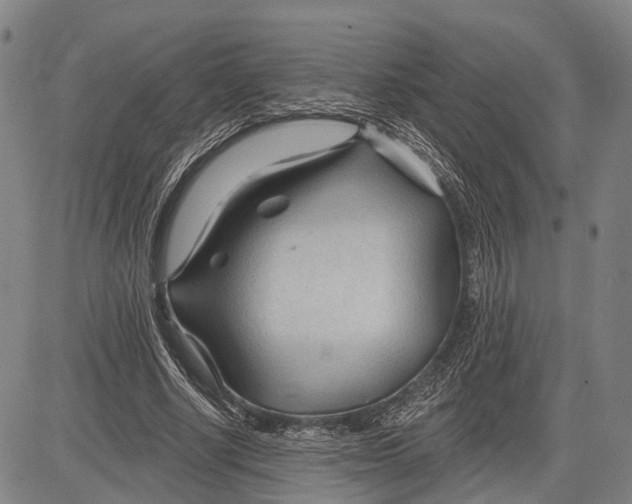 X0000083610634200703051544