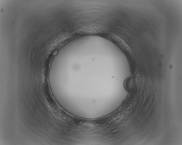 X0000083610635200703051544