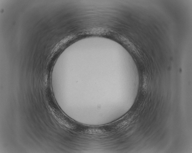 X0000083610636200703051544