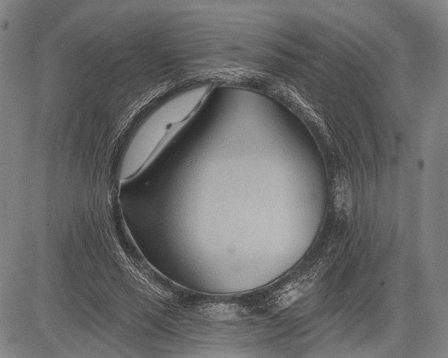 X0000083610637200703051544