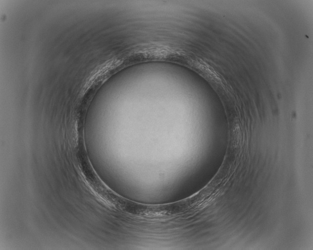 X0000083610638200703051544