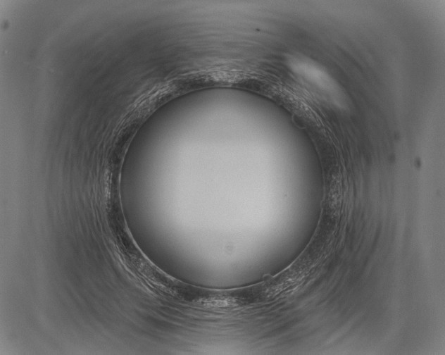 X0000083610639200703051544