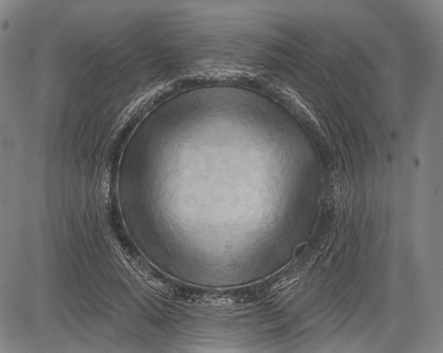 X0000083610640200703051544