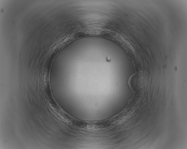 X0000083610641200703051544