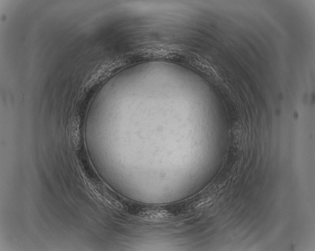 X0000083610642200703051544