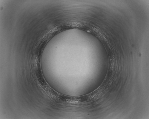 X0000083610643200703051544