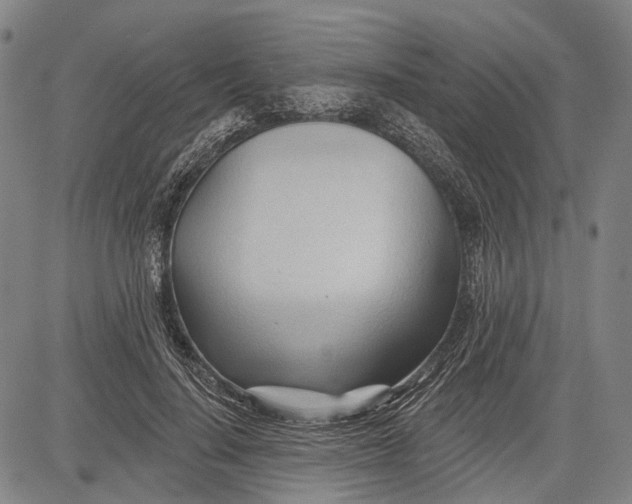 X0000083610644200703051544