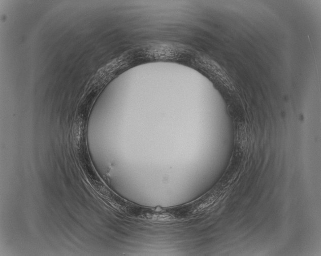 X0000083610645200703051544